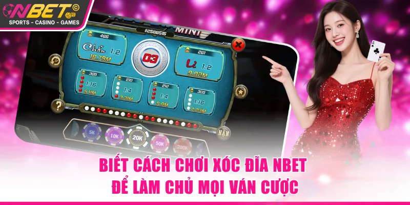 Biết cách chơi xóc đĩa NBET để làm chủ mọi ván cược