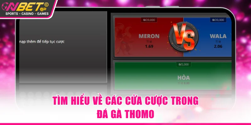 Các lựa chọn cược người tham gia cần nắm