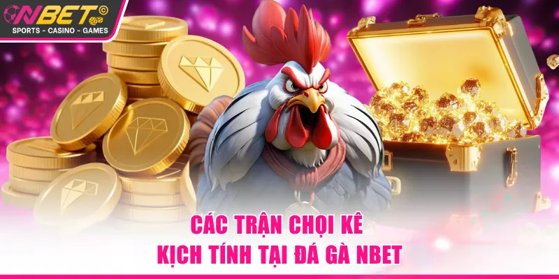 Các trận chọi kê kịch tính tại đá gà NBET