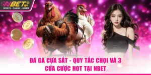 Đá gà cựa sắt