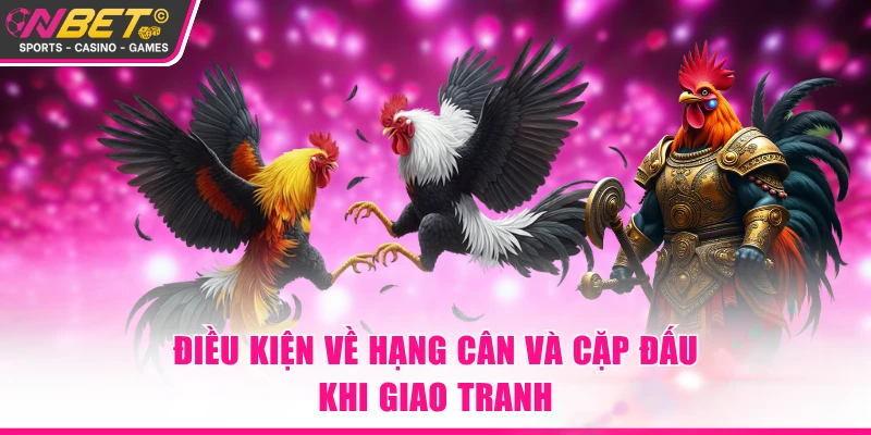Điều kiện về hạng cân và cặp đấu khi giao tranh