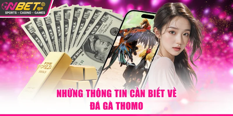 Khám phá thông tin về đá gà Thomo uy tín