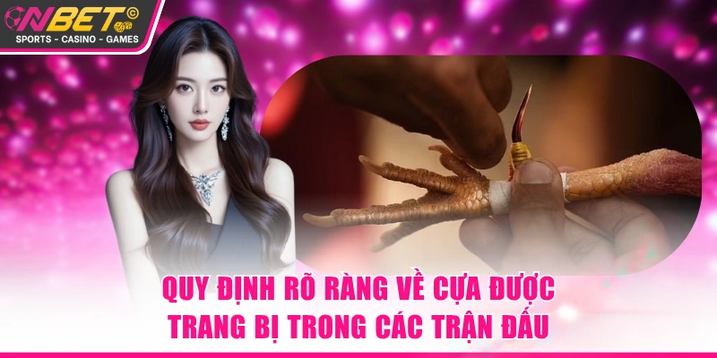Quy định rõ ràng về cựa được trang bị trong các trận đấu